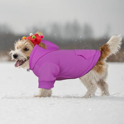 Dog Hoodie Dog Sweaters for Small Dogs,Pet Sweater Solid Soft Brushed Fleece Pet Clothes Hoodie Sweatshirt with Pocket(Purple-XS) - color: Purple, size: X-Small