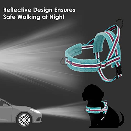 Lukovee No Pull Dog Harness and Leash Set, Soft Padded Small Dog Harness, Neck & Chest Adjustable Reflective Vest Puppy Harness with 4ft Lightweight Anti-Twist Dog Leash for Small Dogs (XS, 01-LBL) - color: Light Blue - with Stripe, size: XS ( Chest 14''