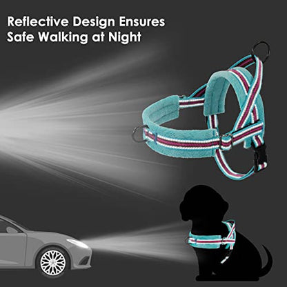 Lukovee No Pull Dog Harness and Leash Set, Soft Padded Small Dog Harness, Neck & Chest Adjustable Reflective Vest Puppy Harness with 4ft Lightweight Anti-Twist Dog Leash for Small Dogs (XS, 01-LBL) - color: Light Blue - with Stripe, size: XS ( Chest 14''