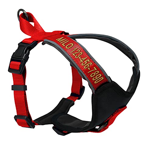 Pawtitas Reflective Padded Dog Harness for Small Dogs – Adjustable Puppy Step-in Vest | Fits Chest 18–22 in | No Pull Personalized Training Harness | S | Red - color: Red, size: Personalized Small (Pack of 1)