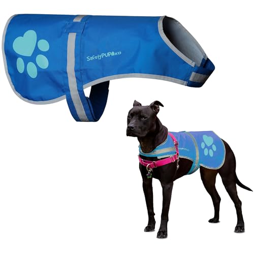 SafetyPUP XD Dog Reflective Vest – Hi-Vis Fluorescent Visibility that Helps to Safeguard Your Pet On/Off Leash in Urban & Rural Areas (Blue, X-Small) - color: Blue, size: X-Small