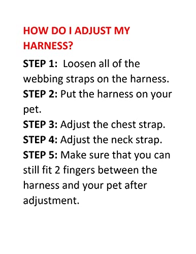 Best Pet Supplies Voyager Step-in Air All Weather Mesh Harness and Reflective Dog 5ft Leash Combo with Neoprene Handle, for Small, Medium and Large Breed Puppies - Set (Baby Blue), Large - color: Harness Leash Set (Baby Blue), size: L (Chest: 18 - 20.5")