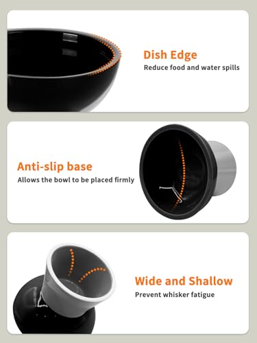 LoeJan Elevated Cat Food and Water Bowls Set, Extra Wide and Raised Ceramic Feeder, Anti-Vomit Whisker-Free Pressure Feeding Bowl for Kittens Adult Small Dogs(Black, 2 Pack) - color: Black, size: 2 Pack (Food & Water Bowls)