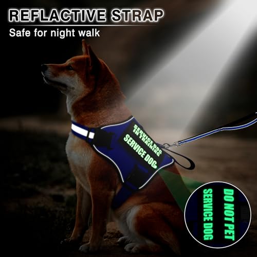 Service Dog Vest Harness and Leash Set+10 Patches,No Pull&Easy Walk Reflective Dog Harness with Soft Padded Handle for Training/Everyday,Fit Small/Medium/Large/Extra-Large Dogs (Blue XL) - color: Blue, size: Extra-large