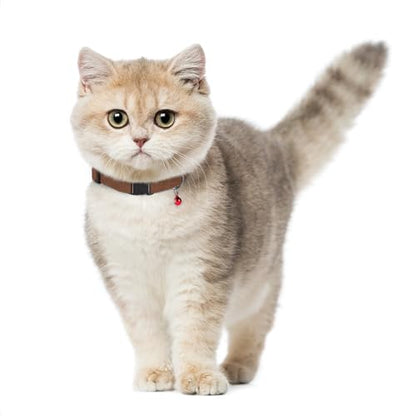 Breakaway Cat Collar Leather with Removable Bell - 13 Colors Available - Soft Adjustable Girl Boy Safety Lightweight Pet Kitten Collars Pink Brown Blue Green Red Orange Black (Cognac) - color: Cognac