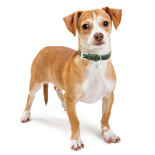 PUPTECK 2 PCS Soft Genuine Leather Cat Kitten Collar with Bells Adjustable for Girl Boy Cats Puppy - White, Deep Green - color: White & Deep Green