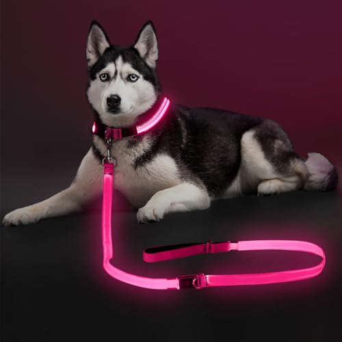 Colaseeme Light Up Dog Leash, LED Pet Leashes USB Rechargeable, Glow Safety Dogs Lights at Night (6FT,Pink) - color: Pink, size: 6FT
