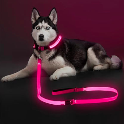 Colaseeme Light Up Dog Leash, LED Pet Leashes USB Rechargeable, Glow Safety Dogs Lights at Night (6FT,Pink) - color: Pink, size: 6FT