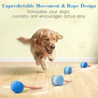 Interactive Dog Ball, Random Path Electric Automatic Moving and Rolling Dogs Toy with Rope for Small Medium Large Dogs, Motion-Activated Dog Stimulation Toy for Boredom Relief (Blue) - color: Blue