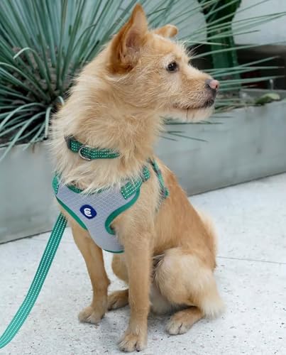 Blueberry Pet Essentials Back to Basics Reflective Dog Harness Vest, Apricot, Medium, Adjustable Harnesses for Dogs - color: Apricot, size: Medium (Pack of 1)