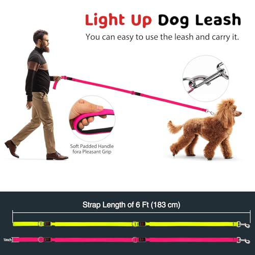 LED Dog Leash Light Up 6 Feet Micro USB Rechargeable Nylon Webbing Glow Safety Standard for Dogs by Bpawser (Pink) - color: Pink, size: 6 Feet