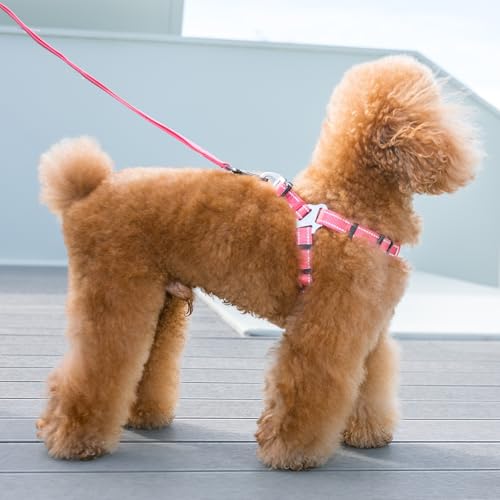EXCELLENT ELITE SPANKER No Pull Dog Harness Adjustable Nylon Step-in Easy Pet Vest Chest Strap with Reflective and Leash Ring for Small Medium Large Breed Dogs Training Walking(Red-S) - color: Red, size: S