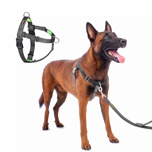 No Pull Dog Harness Freedom Walking, Easy Walk with Front and Back Stainless D-Rings, Sewn-in Instructions Tags for Easy Use, for Medium/Large Dogs Weight 40-60 lbs (Black, Med/Large) - color: Black, size: Medium/Large