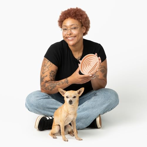 Should We Go? Slow Feeder for Dogs & Cats, The Slowdown Bowl Silicone Slow Eating Mealtime Solution with Modern Lick Mat Design, Reduces Gulping, Fits 1 Cup, 6” Across x 1.25” Tall, Small-Blush - color: Blush - Rainbow Design, size: Small (6” Across x 1.2