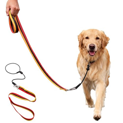 4 FT Heavy Duty Dog Leash with 2 Padded Handles (Traffic Handle & Easy Snap Hook), Reflective Walking Lead for Large, Medium & Small Dogs (1" Wide, Black)