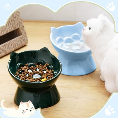 Funnymoom 2 Pcs Ceramic Raised Slow Feeder Cat Bowl, 5.91inch Elevated Cat Slow Feeder Bowl Tilted Anti Vomiting for Dry Wet Food and Water Easy to Clean High Edge(Dark Green, Blue) - color: Dark Green, Blue