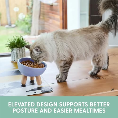 The Cat Ladies Tilted Ceramic Cat Bowl - Elevated Food Bowls Ceramic Pet Bowl - Raised Ceramics Bowls - Elevated & Tilted Design for Comfortable Eating - Dishwasher Safe - Wide Opening - color: Powder Blue