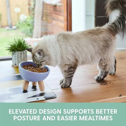 The Cat Ladies Tilted Ceramic Cat Bowl - Elevated Food Bowls Ceramic Pet Bowl - Raised Ceramics Bowls - Elevated & Tilted Design for Comfortable Eating - Dishwasher Safe - Wide Opening - color: Powder Blue
