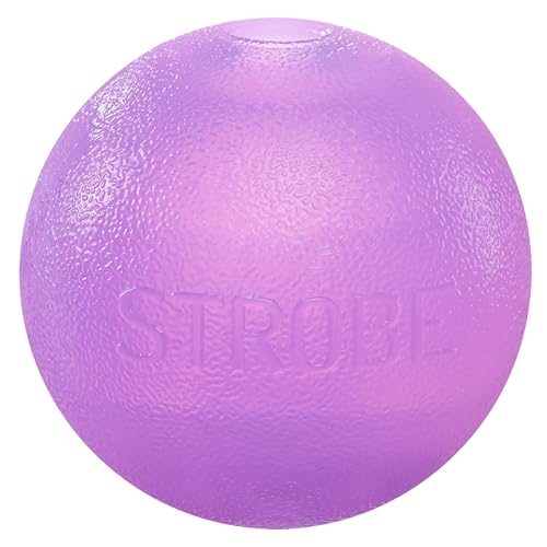 Outward Hound by Planet Dog Strobe Light Up LED Ball Dog Toy, Purple - color: Purple Strobe Toy