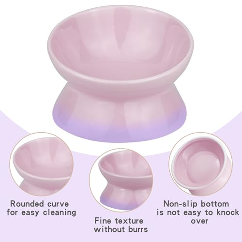 Cute Ceramic Tilted Food Bowls for Indoor Cats Cat Bowl Elevated Cat Bowls Whisker Friendly 6.1 Inch Wide 15° Raised Kitten Supplies Dishwasher and Microwave Safe Purple Cats Water Bowl - color: Purple Ceramic Elevated Cat Bowl
