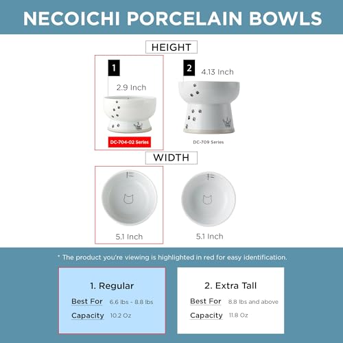 Necoichi Elevated Cat Water Bowl – Ceramic Raised Cat Bowl, Prevents Neck & Whisker Fatigue – Dishwasher & Microwave Safe – Pet Water Bowl for Cats (Fuji, Regular) - style: Fuji