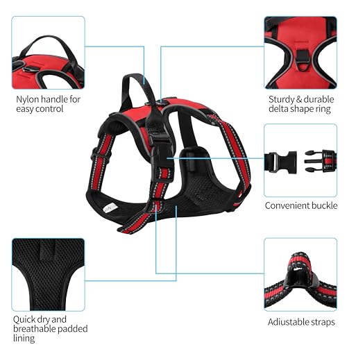 Red No-Pull Dog Harness with 2 Leash Clips，Soft Padded Vest for Small Dog, Adjustable Reflective Dog Vest Easy to Put on and Take Off,(Neck: 13"~17", Chest: 17"~21",Red Small) - color: Red, size: Small
