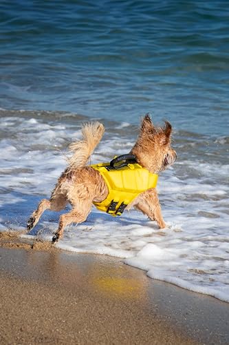 NOAH & PAW Dog Life Jacket, Human Standards Lifejacket Design, Dog Life Vest for Swimming and Boating, 3X Foam Support for Max Floating, Breathable Mesh, Salvavidas para Perros, Size S - size: S