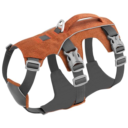 Escape Proof Dog Harness Small Sized Dog, Reflective No Pull Dog Vest with Handle, Lightweight Full Body Pet Harness Adjustable for Walking,Training(Orange,Chest:16-27") - color: Orange, size: S: Chest 16-27", Fit 12-25 lbs