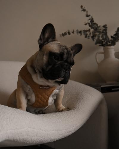 Step in Dog Cat Harness Lightweight Breathable Mesh Soft Padded Pet Vest Vegan Leather Choke Free Escape Proof for Small Medium Dogs (Tan Brown, Large) - color: Tan Brown, size: Large: Neck=12.5-14''/Chest:18-21''