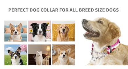 Martingale Dog Collars with Stainless Steel Chain, Reflective No Pull Walking Training Collar with Quick Release Buckle, Adjustable Slip Chain Nylon Dog Collars for Small Medium Large Dogs - color: Red and blue, size: Large