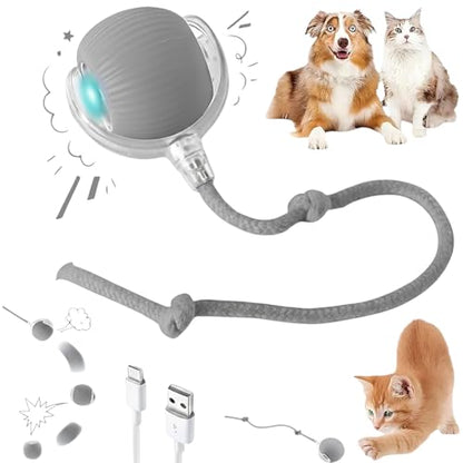 Interactive Electric Automatic Rolling Moving Rechargeable Self Play Stimulation Toy,Smart Pet Chase with Speedy Tail Rope for Bored Indoor Cats (Grey) - color: GREY