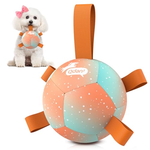 QDAN Small Dog Balls: Dog Soccer Ball with Straps- Premium Dog Toys Balls- Puppy Outdoor Dog Toys Pet Training Ball Birthday Gifts for Small Dogs- Rainbow Orange (5 Inch) - color: Orange, size: Small Size 1