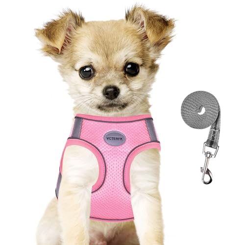 Small Dog Harness and Leash Set, Step-in Puppy Vest with Breathable Soft Padded Mesh, Walking Reflective Pet Harness for Small Medium Dogs - color: Pink, size: Small (Chest: 9" - 11.5")