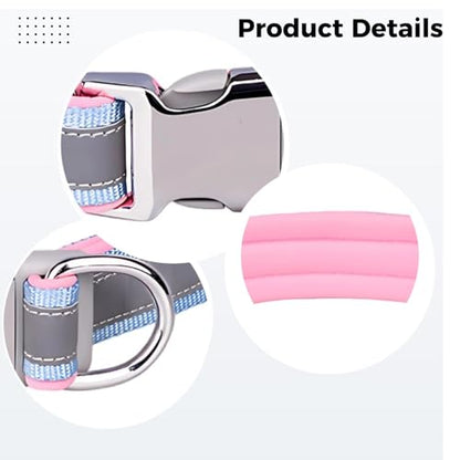 Large Dog Collar, Soft Padded with Space Cotton Lining, Reflective Design, Engraving Option, Light Blue and Variety of Colors