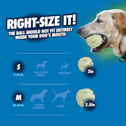 Chuckit! Air Glow Fetch Ball Dog Toy, Small (2 Inch) Pack of 2, for Breeds 0-20 lbs - size: Small