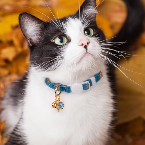 2 Pack Cotton Breakaway Cat Collar Blue and Black Rose Pendant Cute Kitten Cat Collar with Bell - color: Blue Rose&Black Rose