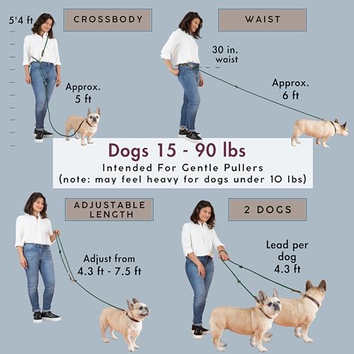 Hands Free Dog Leash, Waist Leash for Dog Walking, Running, Crossbody, Multifunctional, 2 Dogs, Dual Handle, Traditional Lead, Adjustable Lead 4.3ft - 7.5ft, 3/8" (10mm) Diameter. - color: Hunter Green