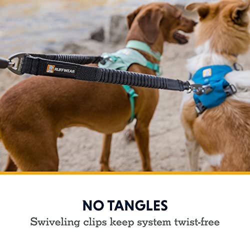 Ruffwear, Double Track Coupler, Double Leash for Two Dogs, Premium Heavy Duty Dual Splitter with 360° Lockable Swivel No Tangle, Shock-Absorbing Stretch Webbing for Walking & Hiking, Basalt Gray