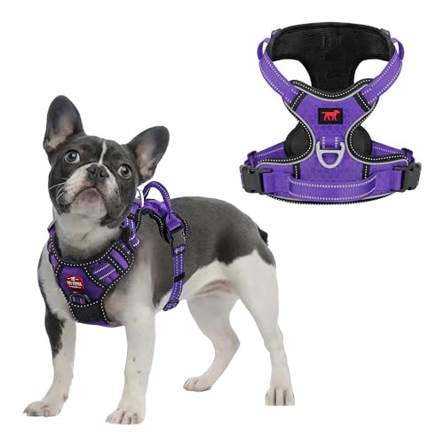 Tuff Pupper No Pull Easy Walk Dog Harness | Heavy Duty Pet Vest | Front & Back Leash Clips | Strong Safety Handle | Reflective Anti Pull Vest | Comfortable Padded Escape Proof Harness (Small, Purple) - color: Purple, size: Small (Neck: 10-17" , Chest: 14-