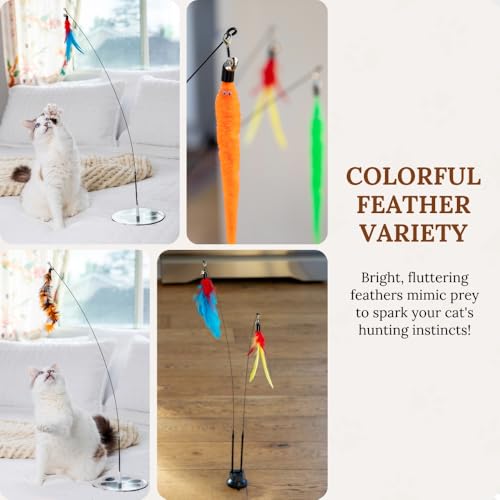 Cat Wand Toy for Indoor Cats - 43 Inch Retractable Fishing Pole Teaser - 9 Feather Attachments - Weighted Round Base - Suction Cup Mount - Bored Adult Feline Hunting Exercise - Kitten Juguetes Set - color: Meow Motion Bundle