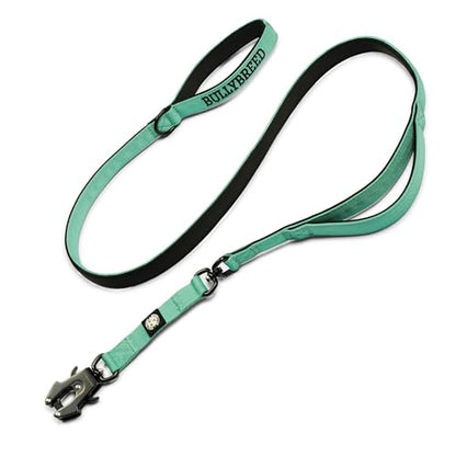 BULLYBREED | Heavy Duty Dog Leash, Tactical Dog Leash, Quick Release Frog Clip with Anti-Tangling Swivel System for Large Dogs that Pull with Soft Double Handles (5 FT Long, Aquamarine) - color: Mint Green Double Handle