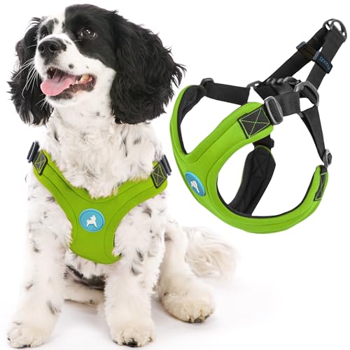 Gooby Escape Free Sport Harness - Lime, Small - No Choke Step-in Patented Neoprene Dog Harness with Four-Point Adjustment for Small to Medium Dogs - color: Lime, size: Small chest (12.5-18.75")