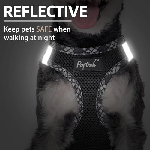 PUPTECK Dog Harness and Leash Set for Small Medium Dogs No Pull Step-in Soft Mesh Puppy Cat Vest Harnesses Reflective at Night, Black L - color: #1 Black(Basic Mesh), size: L(CHEST 18"-20", 16.5-22 lbs)