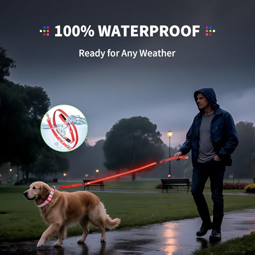 Night Walking LED Dog Leash - 6FT Reflective & Waterproof Light Up Safety Leashes for Dogs - USB Rechargeable, Red - color: Red(Fiber optic version)