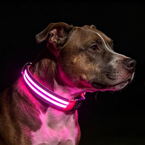 Dog Light up Collar for Night Walking - High Visibility LED Dog Collar - Rechargeable - Waterproof - Reflective - Adjustable Lighted Glow Collars(Pink, XLarge) - color: Pink, size: XLarge (22" - 27")