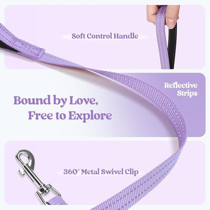 rabbitgoo Dog Harness Small Sized and Leash Set, Step in Soft Light Puppy Vest, Breathable Mesh Pet Harness, Reflective for Safe Easy Walking, Light Purple XXS - color: Light Purple, size: Xxs (chest: 12.4 - 14.2")
