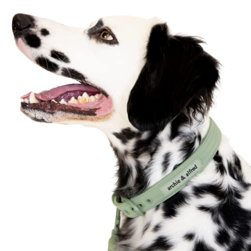 Heavy Duty Adjustable Dog Collar | Odor Proof and Easy to Clean | Made with a Comfortable Fabric and Metal Hardware | archie & alfred (Size Large) - color: Green, size: Large