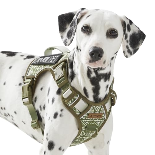 AUNZO Service Dog Vest Harness with 2 Velcro Patches, No Pull Dog Harness for Walking Training Hiking, Metal D-Rings Easy on/Off Neck Buckle Reflective Strips Soft Padded Handle, Green - color: Green Ethnic, size: Medium