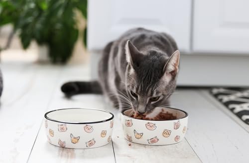 Pearhead Ceramic Cat Bowl, Holds 12 oz, Whisker-Friendly Pet Dish for Food and Water, Cute Cat Face Design - color: Blush Cat Faces, size: Single Bowl