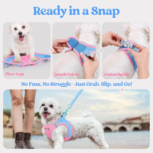 rabbitgoo Dog Harness Small Sized and Leash Set, Step in Soft Light Puppy Vest, Breathable Mesh Pet Harness, Reflective for Safe Easy Walking, Blue & Light Pink S - color: Blue & Light Pink, size: S (chest: 15.1 - 16.5")